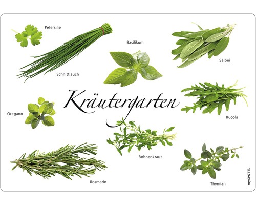 Obkladový panel do kuchyně mySPOTTI pop Bylinky 41x59 cm Obrázek různých bylin, jako je petržel, pažitka, bazalka, šalvěj, oregano, rukola, rozmarýn, saturejka a tymián