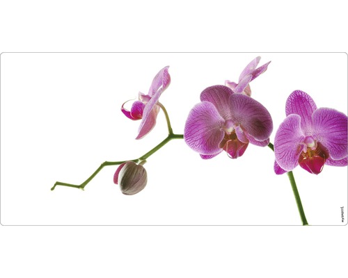 Koupelnová zádní stěna mySPOTTI aqua Orchidee pink 90x45 cm Detail orchideje