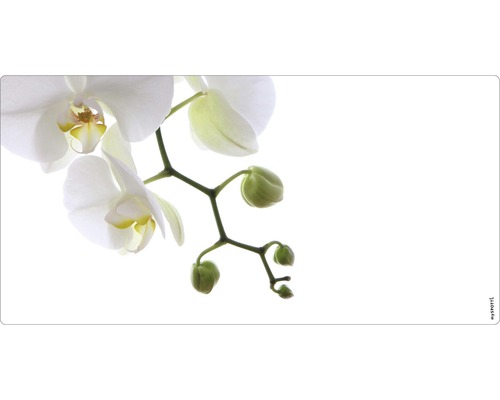 Koupelnová zádní stěna mySPOTTI aqua Orchidee phala 90x45 cm Detail kvetoucí orchideje
