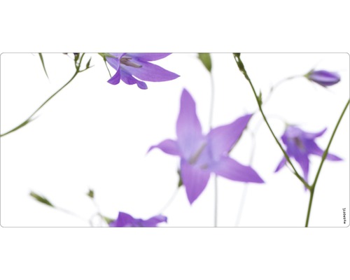Koupelnová zádní stěna mySPOTTI aqua Glockenblume 90x45 cm Zvonky na světlém pozadí