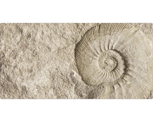 Koupelnová zádní stěna mySPOTTI aqua Fossil 90x45 cm Fosilní otisk v kameni