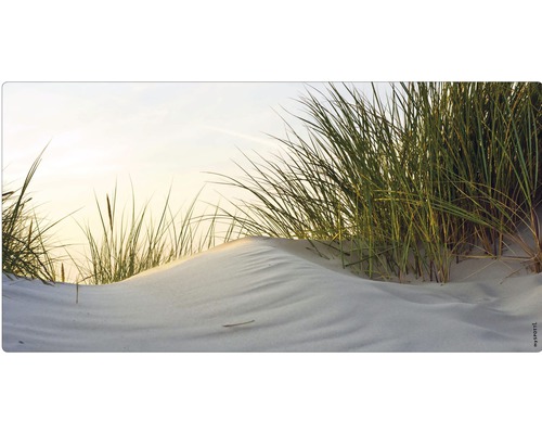 Koupelnová zádní stěna mySPOTTI aqua Dune 90x45 cm Duna s psinečkem v písku
