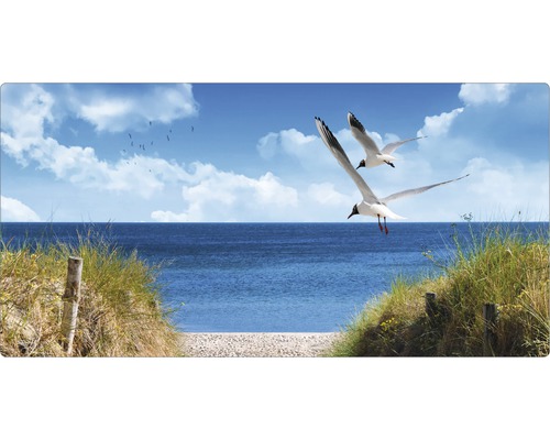 Koupelnová zádní stěna mySPOTTI aqua North Sea 90x45 cm Dekorativní panel s motivem pláže, racků a moře