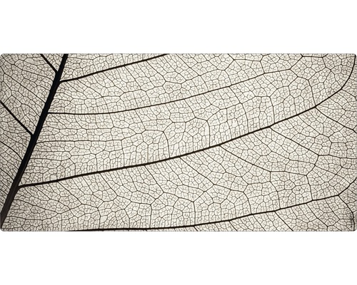 Koupelnová zádní stěna mySPOTTI aqua Struktur 90x45 cm Detailní záběr listové kostry
