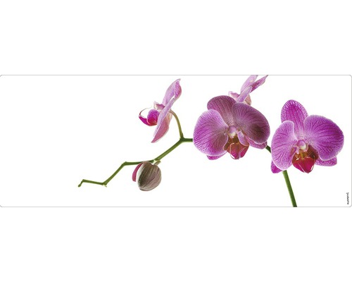 Koupelnová zádní stěna mySPOTTI aqua Orchid pink 120x45 cm Dekorativní motiv orchideje