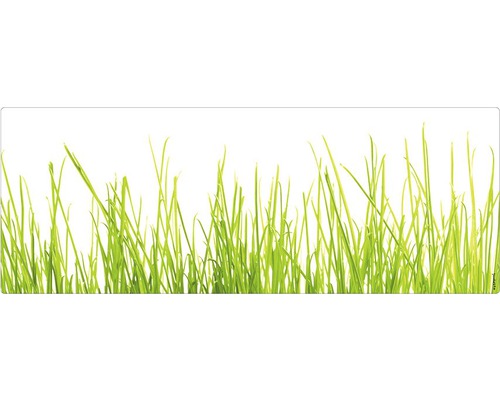 Koupelnová zádní stěna mySPOTTI aqua Gras 120x45 cm Stébla trávy
