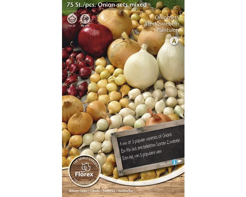 Směs sadbových cibulek, 75 kusů, k zasazení