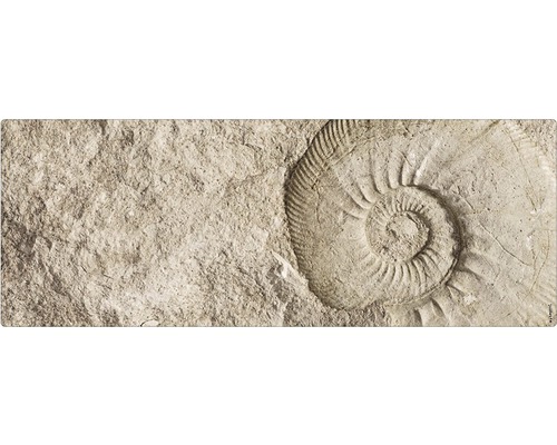 Koupelnová zádní stěna mySPOTTI aqua Fossil 120x45 cm