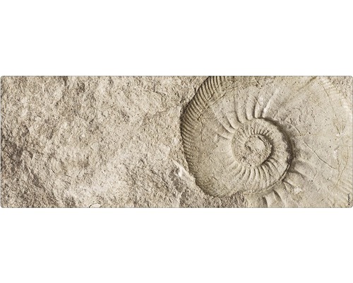 Koupelnová zádní stěna mySPOTTI aqua Fossil 120x45 cm Otlak fosilie v kameni