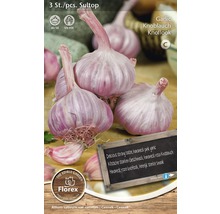 Balení česneku Sultop se třemi kusy