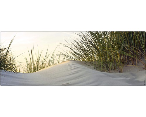 Koupelnová zádní stěna mySPOTTI aqua Dune 120x45 cm Dekorativní nástěnný obraz s motivem duny a trávy