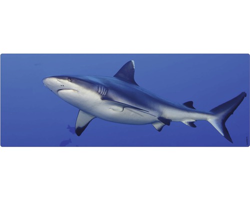 Koupelnová zádní stěna mySPOTTI aqua Hai 120x45 cm Žralok plave v oceánu.