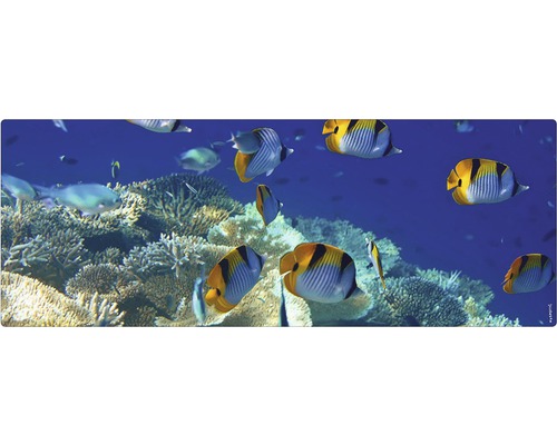 Koupelnová zádní stěna mySPOTTI aqua Unterwasser 120x45 cm Dekorativní motiv s rybami a korálovým útesem pro interiér