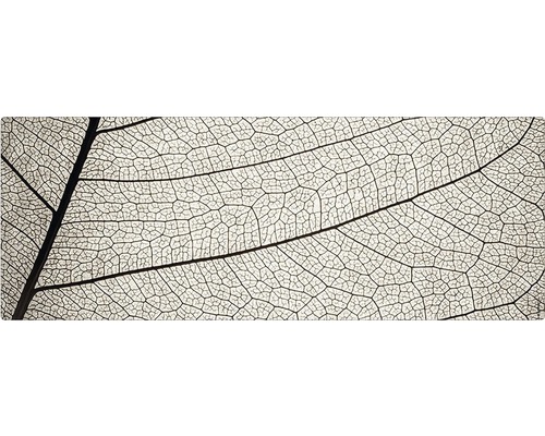 Koupelnová zádní stěna mySPOTTI aqua Struktur 120x45 cm Detailní záběr listové kostry