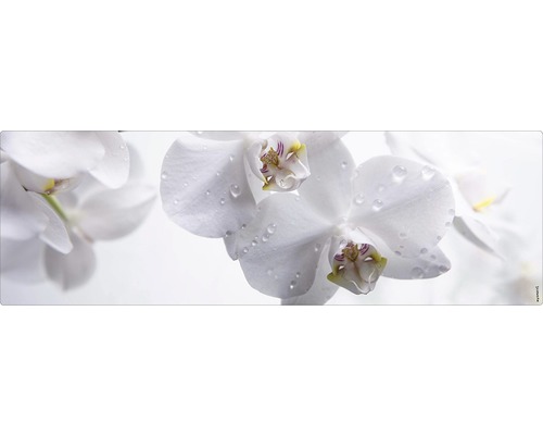 Koupelnová zádní stěna mySPOTTI aqua orchid 140x45 cm Detailní záběr bílých květů orchidejí s kapkami vody