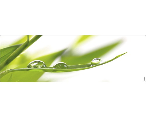Koupelnová zádní stěna mySPOTTI aqua Fresh 140x45 cm List s kapkami vody
