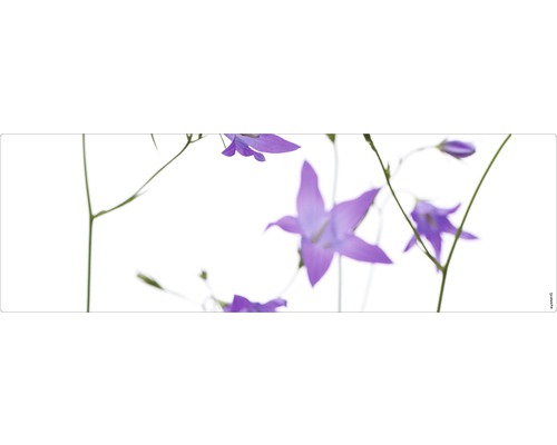 Koupelnová zádní stěna mySPOTTI aqua Glockenblume 140x45 cm Detailní pohled na zvonky na stoncích