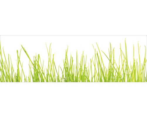 Koupelnová zádní stěna mySPOTTI aqua Gras 140x45 cm Stébla trávy