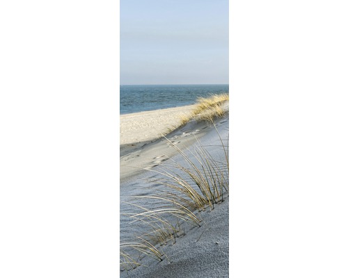 Písečná tráva na pláži