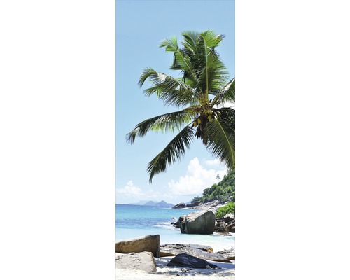 Palma na pláži s kameny a modrým mořem