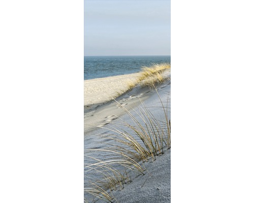 Duna s psinečkem před mořem