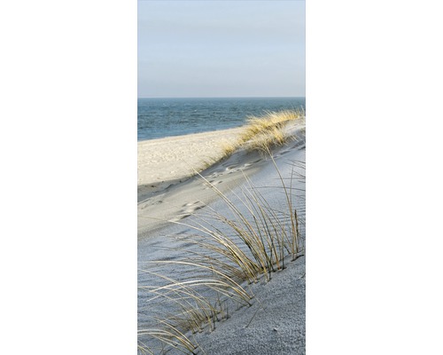 Pobřežní tráva na duně u moře