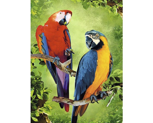 Dva papoušci na větvi