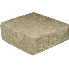 Jeden betonový dlažební kámen