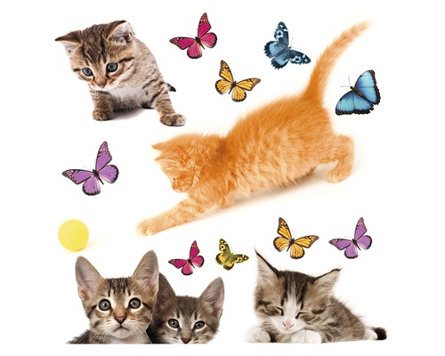 Samolepky na zeď s motivem koček a motýlů