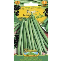 Balení semen keříčkových fazolí