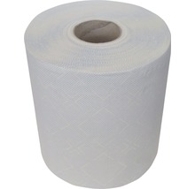 Papírové ručníky Maxi dvouvrstvé-thumb-0