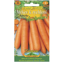 Balíček semen mrkve pro rychlý růst