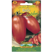 Balení semen pro keříčková rajčata