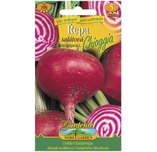 Balíček semen salátové řepy