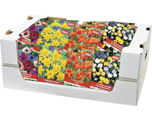 Prodejní box s různými baleními květinových cibulovin, jako jsou sasanky, narcisy, tulipány a krokusy pro období sázení.