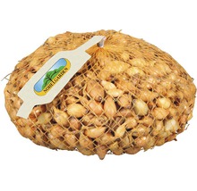 Cibule v síťovaném sáčku od Nohel Garden
