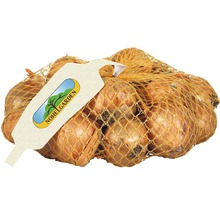 Cibule v síti, logo Nohel Garden