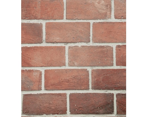 Obkladový kámen Portlandská dlažba Brick Garda 056 Tapeta s motivem cihel pro interiér