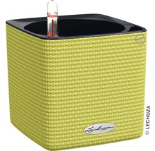 Čtvercový květináč Lechuza se zavlažovacím systémem