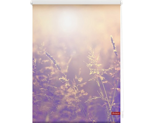 Roleta s motivem louky pro dekoraci oken a ochranu před světlem