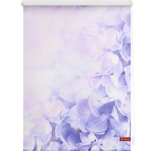 Roleta propouštějící denní světlo 45x150cm Hortenzie
