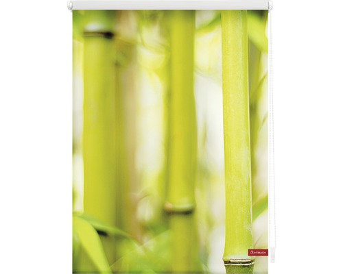 Roleta s motivem bambusu na okna