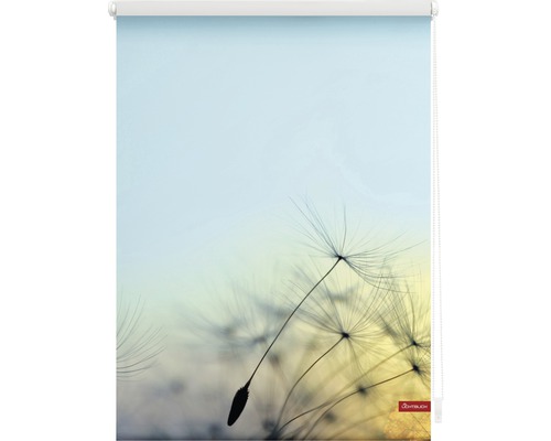 Okenní roleta s motivem pampelišky pro vnitřní použití