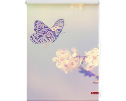 Roleta se vzorem motýla a květin pro dekoraci oken