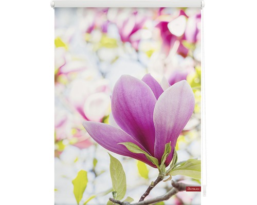 Roleta s motivem květů magnólie