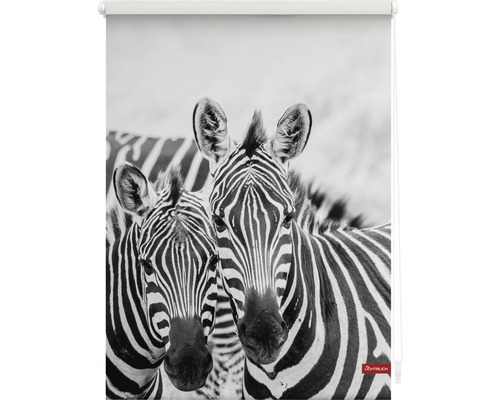 Roleta s motivem zebry