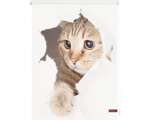 Roleta s motivem kočky, která se dívá skrz díru