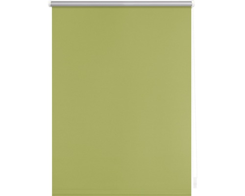 Zelená roleta do okna