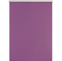 Roleta zatemňovací 45x150cm Liška