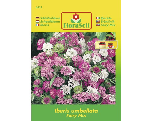 Štěničník 'Iberis umbellata' směs květinových semen FloraSelf